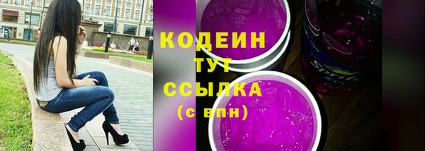молекула духа Бежецк