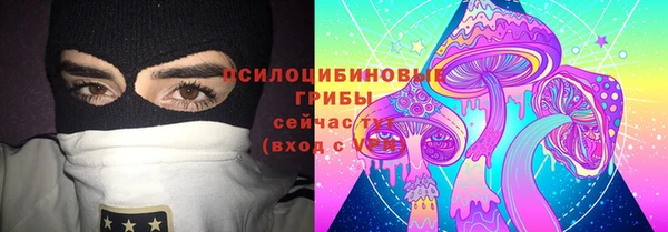 крисы Надым