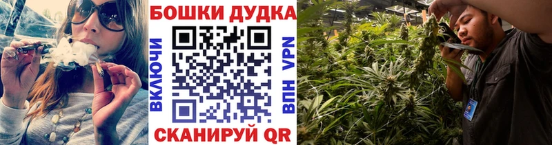 МЕГА tor  Новопавловск  Канабис OG Kush 